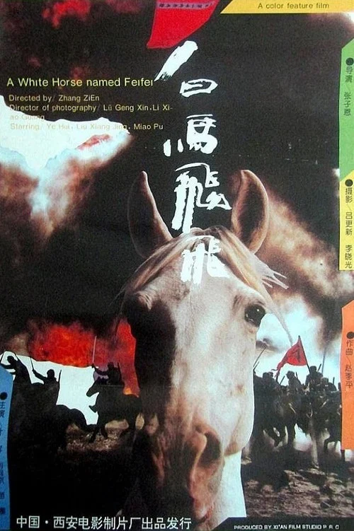 Постер: Bai ma Fei Fei