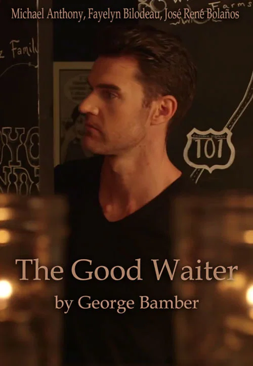 Постер: The Good Waiter