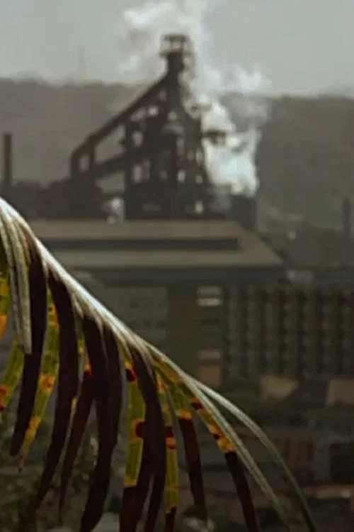 Постер: Steel Town