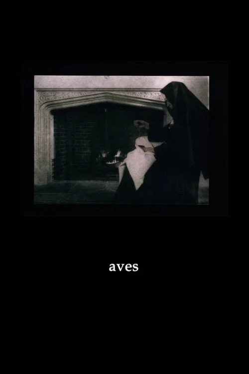 Постер: Aves