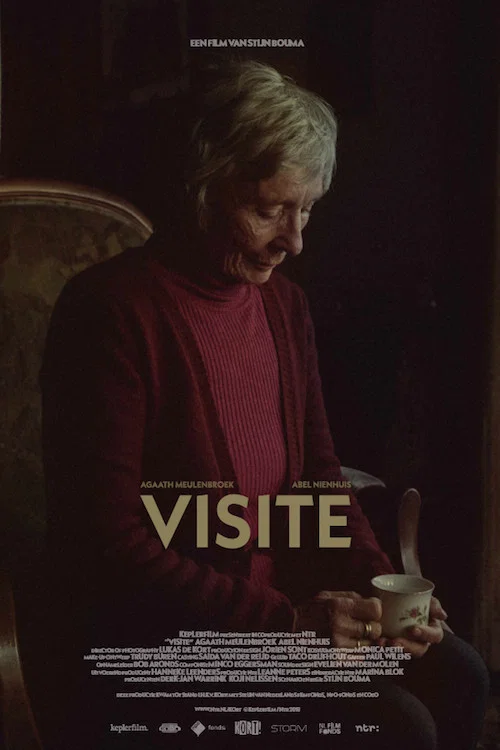 Постер: Visite