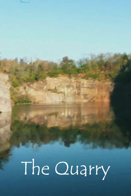 Постер: The Quarry: 2011