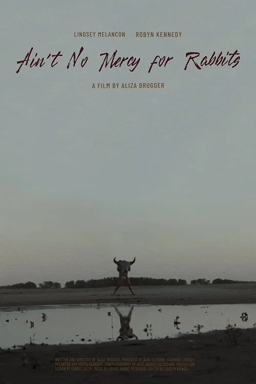 Постер: Ain't No Mercy for Rabbits