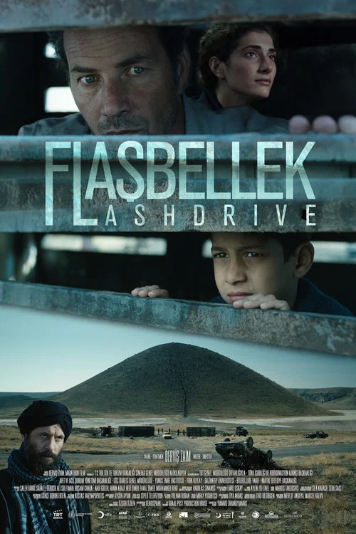 Постер: Flash Drive