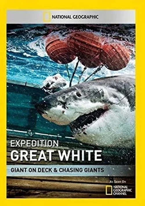 Постер: Shark Men