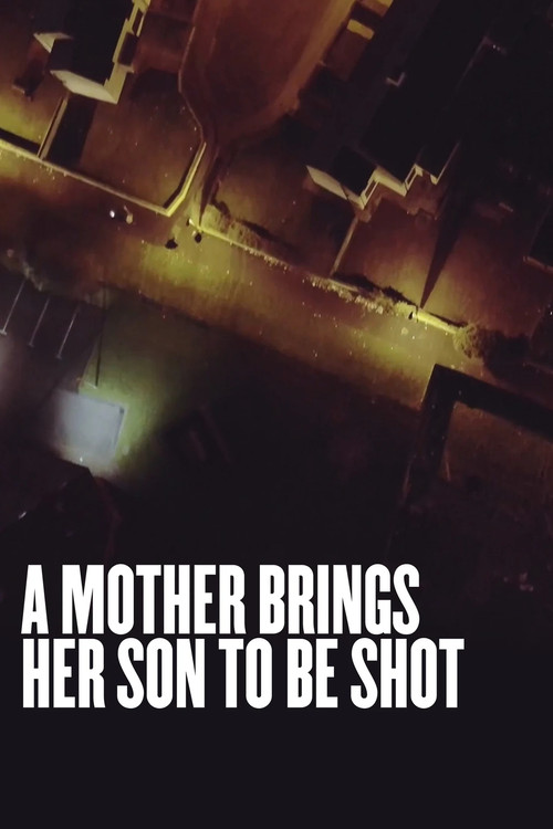 Постер: A Mother Brings Her Son to Be Shot