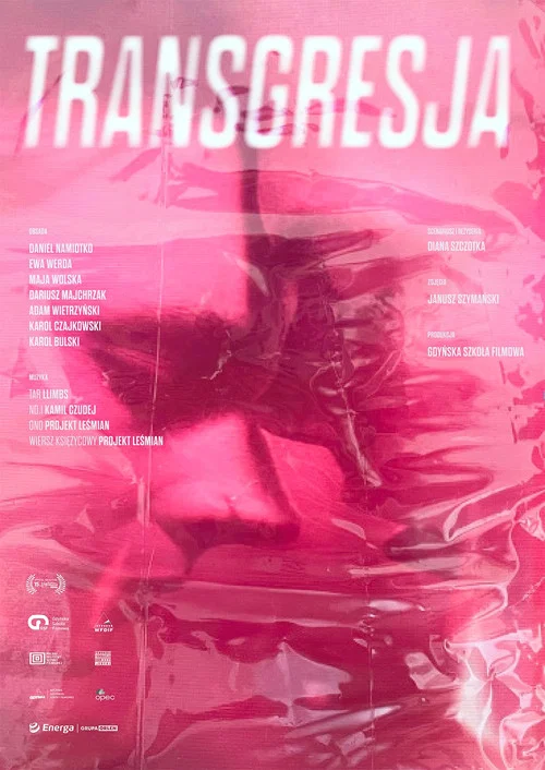 Постер: Transgression
