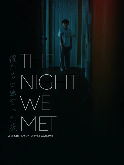 Постер: The Night We Met