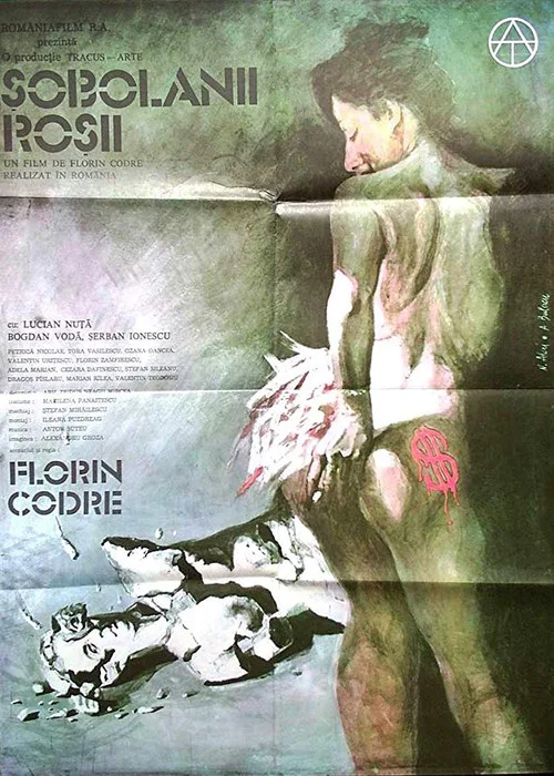 Постер: Sobolanii rosii