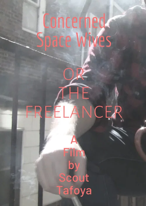 Постер: The Freelancer