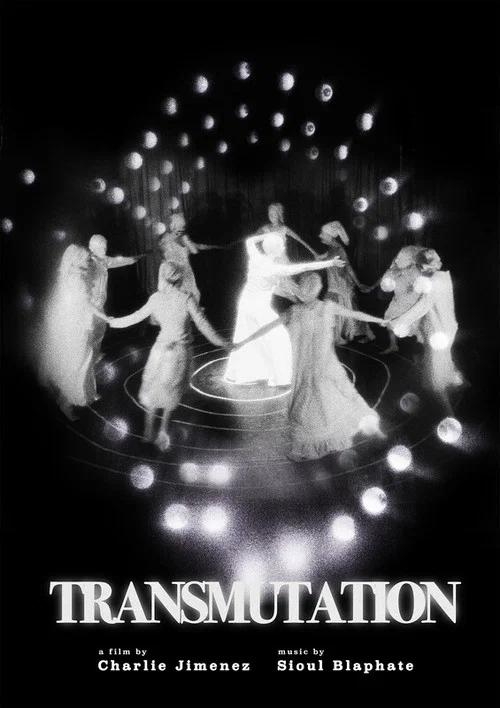 Постер: Transmutation