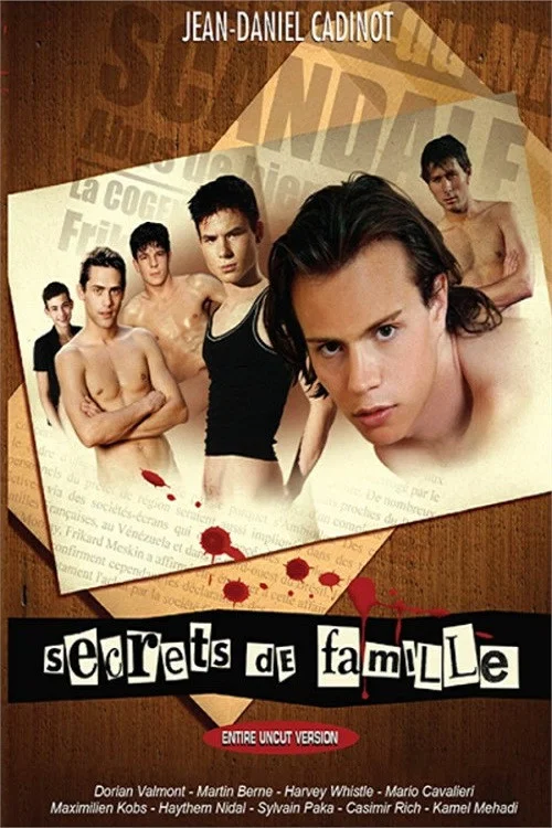 Постер: Secrets de Famille