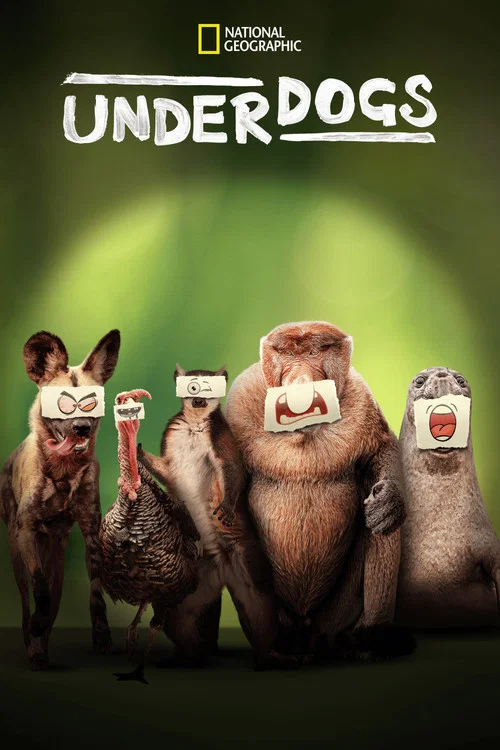 Постер: Underdogs