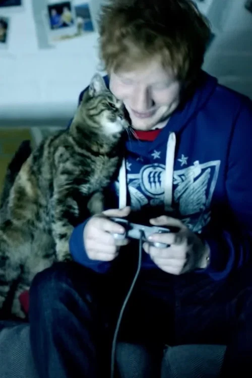 Постер: Ed Sheeran: Drunk