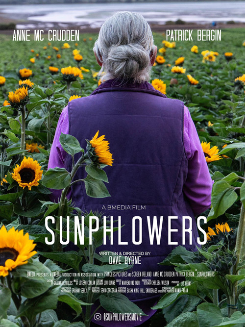 Постер: Sunphlowers