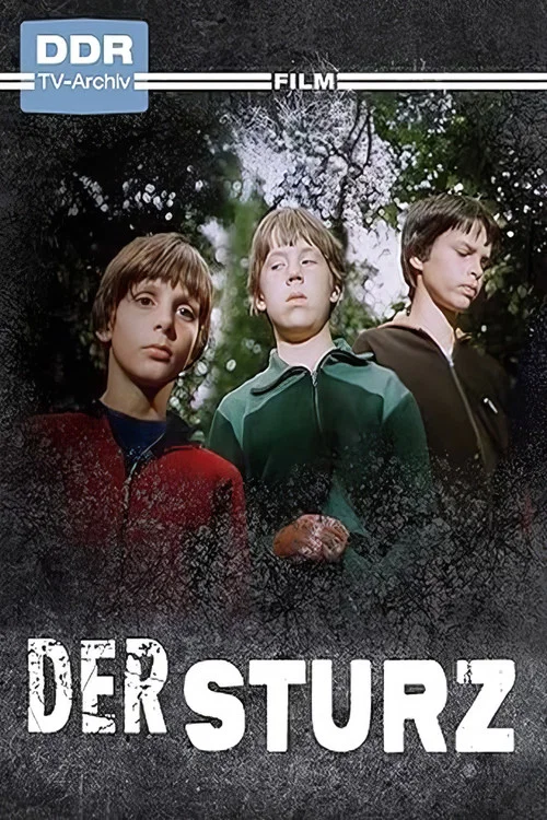 Постер: Der Sturz