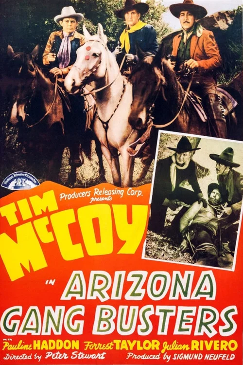 Постер: Arizona Gang Busters