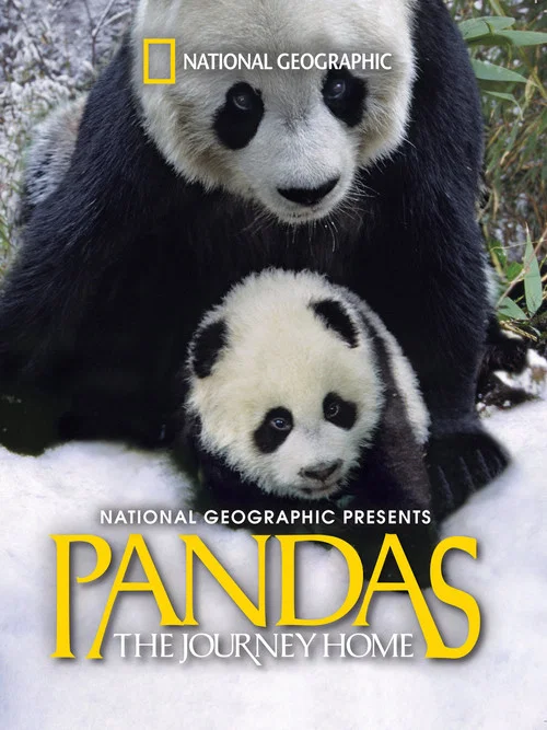 Постер: Pandas: The Journey Home