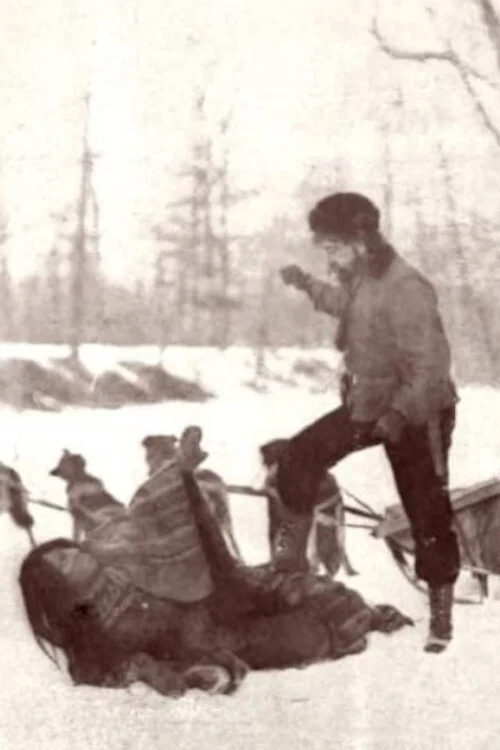 Постер: At the End of the Trail