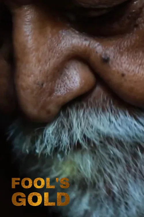 Постер: Fool's Gold