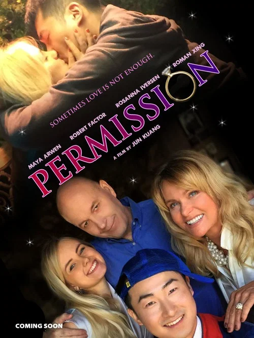 Постер: Permission