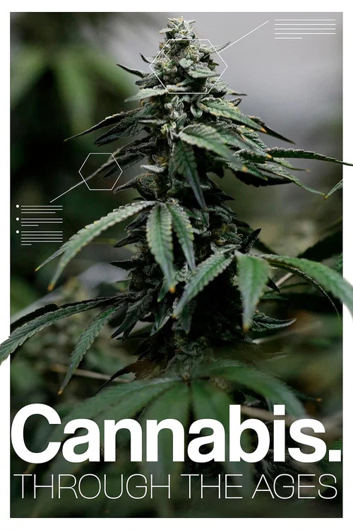 Постер: Cannabis: Through the Ages