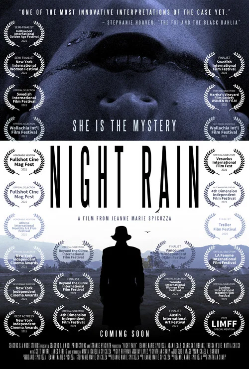 Постер: Night Rain