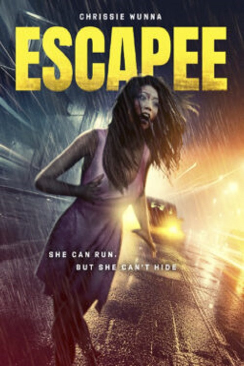 Постер: The Escapee