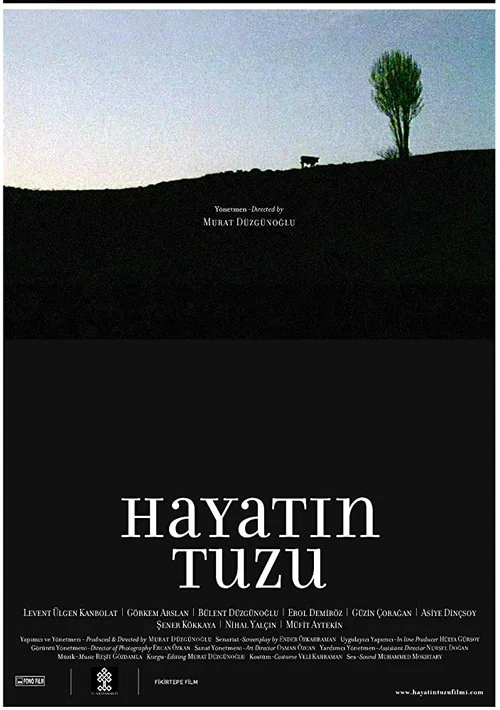 Постер: Hayatin Tuzu