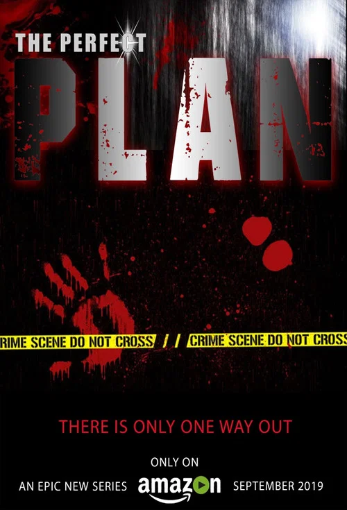 Постер: The Perfect Plan