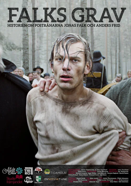 Постер: Falks grav