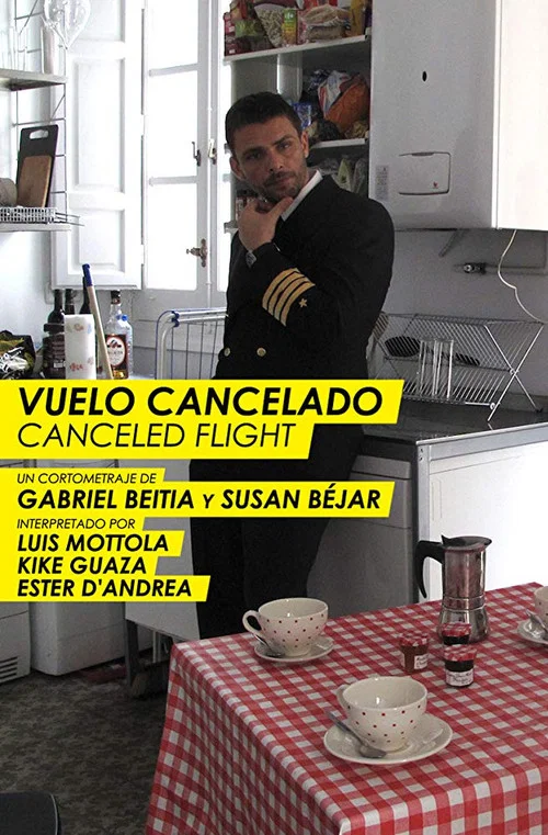 Постер: Vuelo cancelado