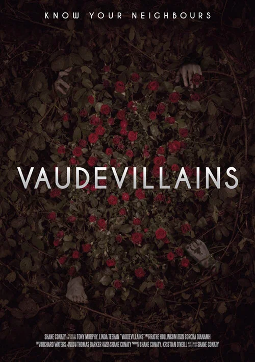 Постер: Vaudevillains