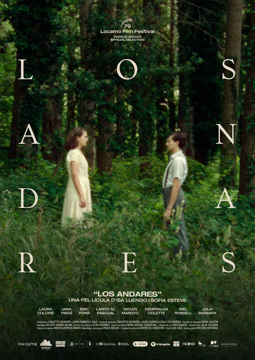 Постер: The Wanderers