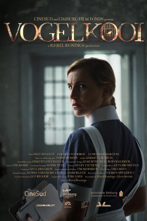 Постер: Birdcage