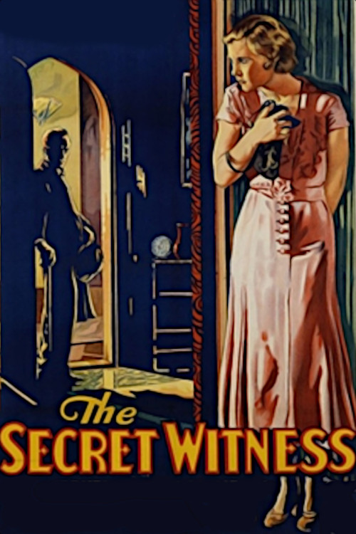 Постер: The Secret Witness