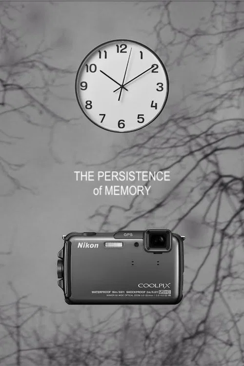 Постер: The Persistence of MEmory