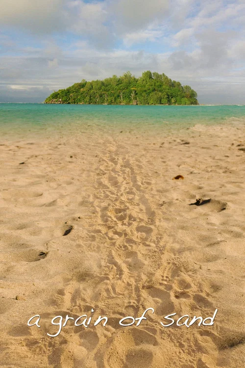 Постер: A Grain of Sand