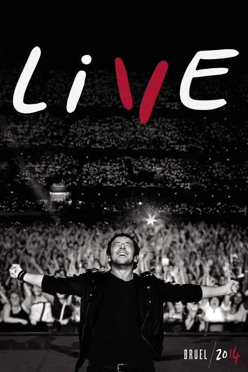 Постер: Il était une fois... Patrick Bruel