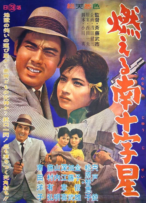 Постер: Moeru minamijûjisei