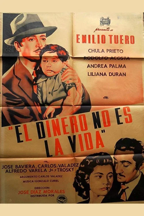 Постер: El dinero no es la vida