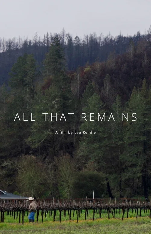 Постер: All That Remains