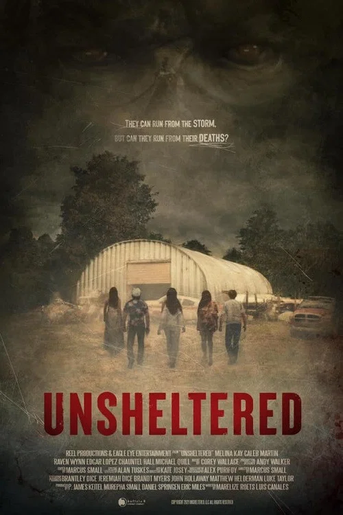 Постер: Unsheltered