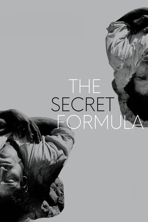 Постер: The Secret Formula