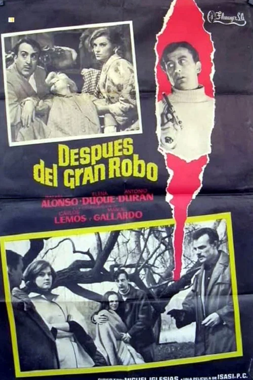 Постер: Después del gran robo