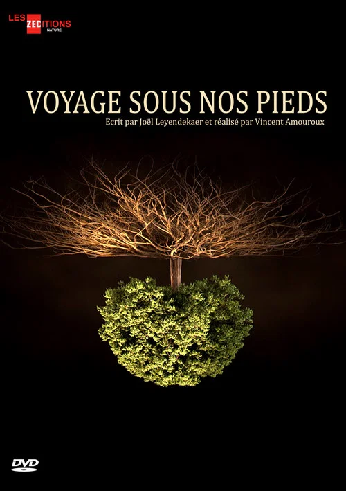 Постер: Voyage sous nos pieds