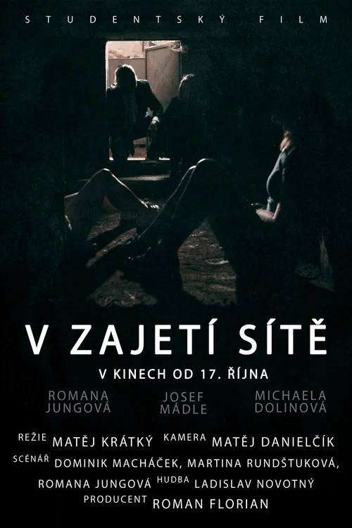 Постер: V zajetí síte
