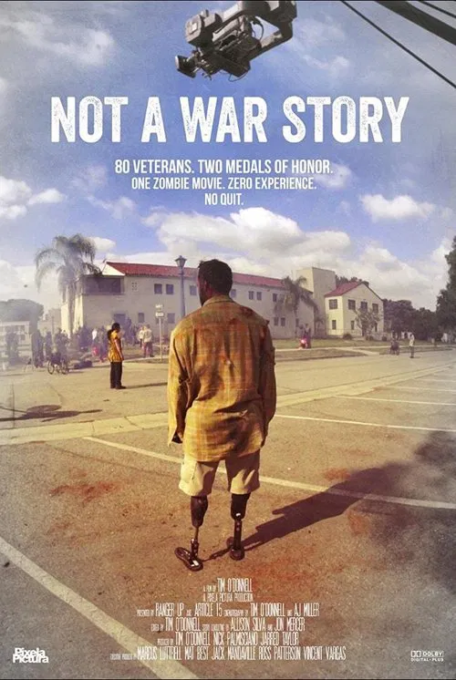 Постер: Not a War Story