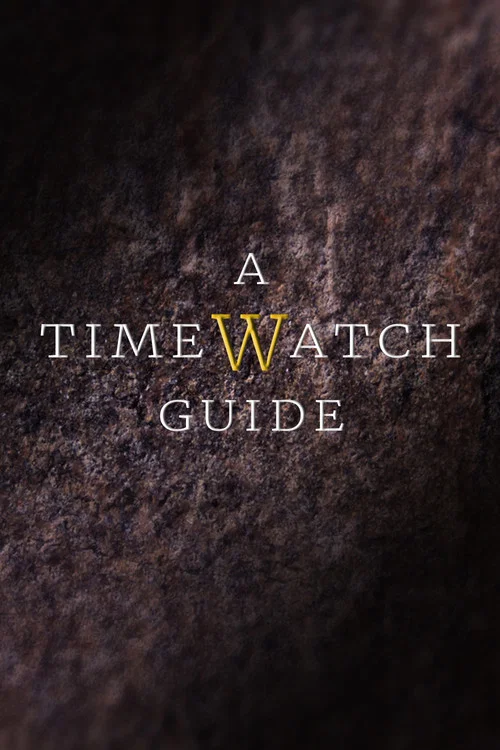 Постер: A Timewatch Guide