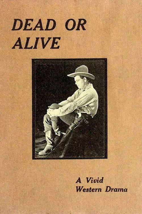 Постер: Dead or Alive